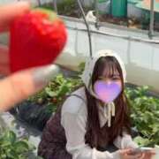 ほのか いちご狩りの時の🍓✨ 蒲田ウルトラギャラクシー