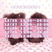 ヒメ日記 2025/12/24 20:08 投稿 早瀬ゆりあ ウルトラロイヤル