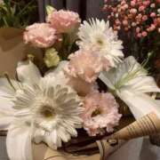 早瀬ゆりあ 🪷 ウルトラロイヤル