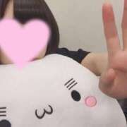 玉置 聖華 お昼難民 人妻セレブ宮殿