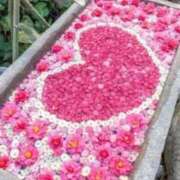 ヒメ日記 2026/01/27 19:16 投稿 横浜 熟女の風俗最終章 新横浜店