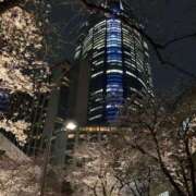 ヒメ日記 2026/03/31 18:36 投稿 横浜 熟女の風俗最終章 新横浜店