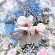 ヒメ日記 2026/04/07 09:16 投稿 横浜 熟女の風俗最終章 新横浜店