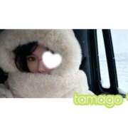 ヒメ日記 2025/12/19 01:23 投稿 たまご BLUE BIRD (ブルーバード) 上越