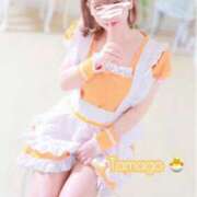 ヒメ日記 2025/12/23 15:53 投稿 たまご BLUE BIRD (ブルーバード) 上越