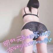 ヒメ日記 2025/12/20 17:27 投稿 椿姫【つばき】 丸妻 西船橋店