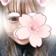 ヒメ日記 2026/04/01 15:16 投稿 りつ ぽっちゃり巨乳素人専門横浜関内伊勢佐木町ちゃんこ