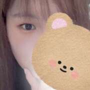 ヒメ日記 2025/12/16 14:03 投稿 りつ 新横浜ちゃんこ