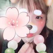 ヒメ日記 2025/12/26 16:03 投稿 りつ 新横浜ちゃんこ