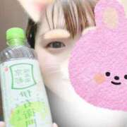 ヒメ日記 2026/01/21 17:03 投稿 りつ 新横浜ちゃんこ