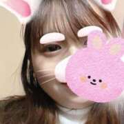 ヒメ日記 2026/02/10 16:23 投稿 りつ 新横浜ちゃんこ