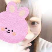 ヒメ日記 2026/02/14 12:03 投稿 りつ 新横浜ちゃんこ