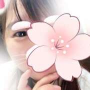 ヒメ日記 2026/02/19 20:03 投稿 りつ 新横浜ちゃんこ