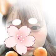 ヒメ日記 2026/02/21 20:03 投稿 りつ 新横浜ちゃんこ