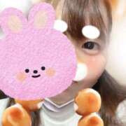 ヒメ日記 2026/03/09 17:03 投稿 りつ 新横浜ちゃんこ