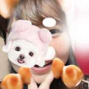 ヒメ日記 2026/03/17 18:03 投稿 りつ 新横浜ちゃんこ