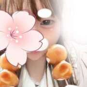 ヒメ日記 2026/03/18 15:03 投稿 りつ 新横浜ちゃんこ