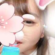 ヒメ日記 2026/03/31 16:03 投稿 りつ 新横浜ちゃんこ