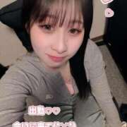 ヒメ日記 2026/01/27 15:51 投稿 らむ びくびくサークル五反田店