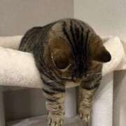 ヒメ日記 2025/12/26 22:50 投稿 美涼あかり-AKARI- Casual Rich 5（カジュアルリッチファイブ）