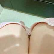 ヒメ日記 2026/01/21 20:32 投稿 あやか 新宿本店 ぽちゃカワ女子専門店