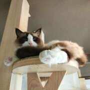 ヒメ日記 2025/12/29 16:03 投稿 相葉　えみ 雫(しずく)