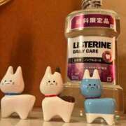 ヒメ日記 2026/01/03 19:48 投稿 相葉　えみ 雫(しずく)