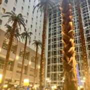 ヒメ日記 2026/01/12 16:03 投稿 相葉　えみ 雫(しずく)