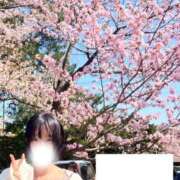 ヒメ日記 2026/04/29 16:03 投稿 相葉　えみ 雫(しずく)