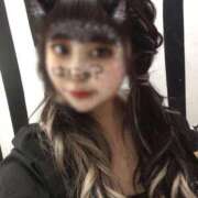 りぼん はじめまして🐱 サンキュー沼津店（サンキューグループ）