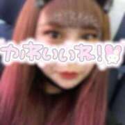 ヒメ日記 2025/12/31 17:26 投稿 りぼん サンキュー沼津店（サンキューグループ）