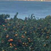 ヒメ日記 2025/12/19 08:08 投稿 りん 熟女の風俗最終章 沼津店