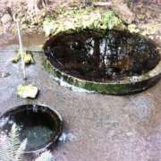 ヒメ日記 2026/03/03 21:03 投稿 りん 熟女の風俗最終章 沼津店