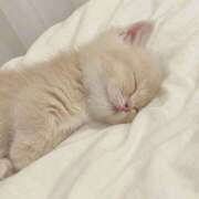 あや 🙏✨ エマニエル秋葉原