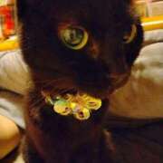 ヒメ日記 2025/12/22 01:50 投稿 きよか 素人妻御奉仕倶楽部Hip's西川口店