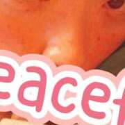 ヒメ日記 2026/01/08 13:30 投稿 きよか 美熟女倶楽部Hip's西川口店