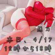 ヒメ日記 2026/04/17 08:12 投稿 藤乃(ふじの) 人妻城 横浜本店