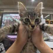 ヒメ日記 2026/01/28 06:00 投稿 みつき★(奉仕系ミキティ) ぽっちゃり女神 あぷろでぃーて