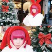 ヒメ日記 2025/12/20 22:45 投稿 りこ 千葉北インターちゃんこ