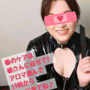 ヒメ日記 2026/03/06 07:32 投稿 晴山 ドラキュラクイーン