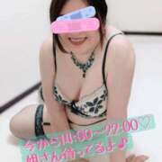 ヒメ日記 2026/03/08 14:05 投稿 晴山 ドラキュラクイーン