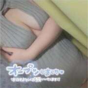 ヒメ日記 2026/01/24 09:21 投稿 なつね 日暮里・西日暮里サンキュー