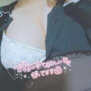 ヒメ日記 2026/01/31 15:21 投稿 なつね 日暮里・西日暮里サンキュー