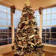 ヒメ日記 2025/12/25 08:41 投稿 桜夜香 ドラキュラクイーン