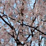 ヒメ日記 2026/03/21 15:27 投稿 ももよ ドラキュラクイーン