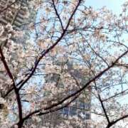 ヒメ日記 2026/03/28 12:17 投稿 ももよ ドラキュラクイーン