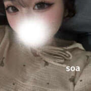 ヒメ日記 2025/12/15 12:58 投稿 そあ めちゃカワ女子 小田原早川店