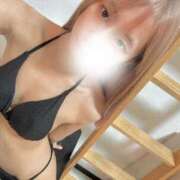 ヒメ日記 2025/12/14 13:57 投稿 こむぎ サマンサ(和歌山)