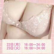 まどか 出勤予定♡ 蒲田ちゃんこ