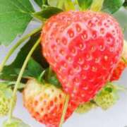 ヒメ日記 2026/03/17 10:00 投稿 うる バッドカンパニー水戸